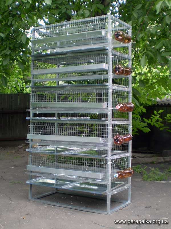 клетка для перепела клетка для перепела